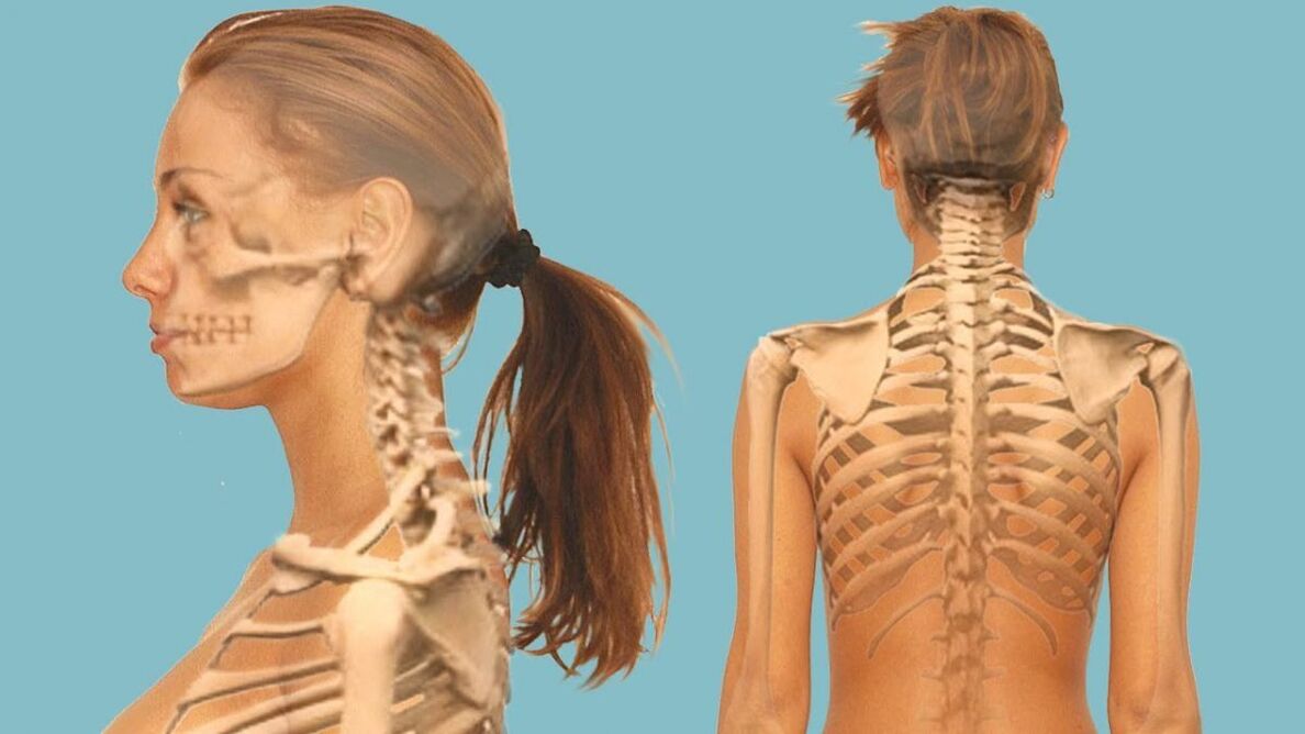 La columna cervical